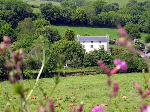 Plantation House Hotel Ermington Экстерьер фото
